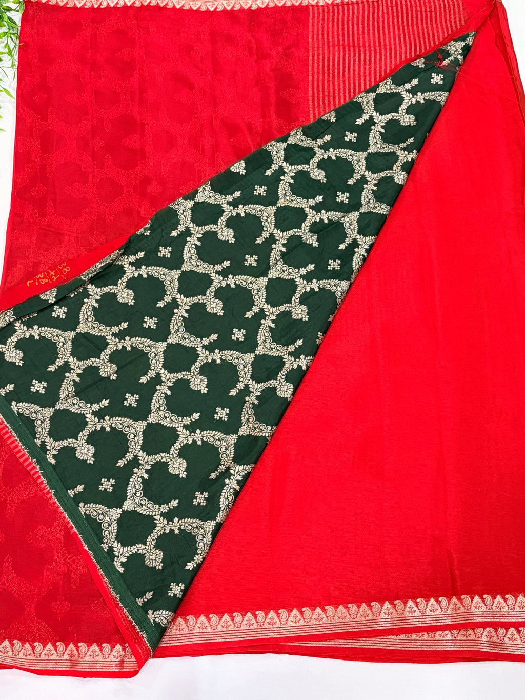 Red  Saree with Gold Paisley Zari Border