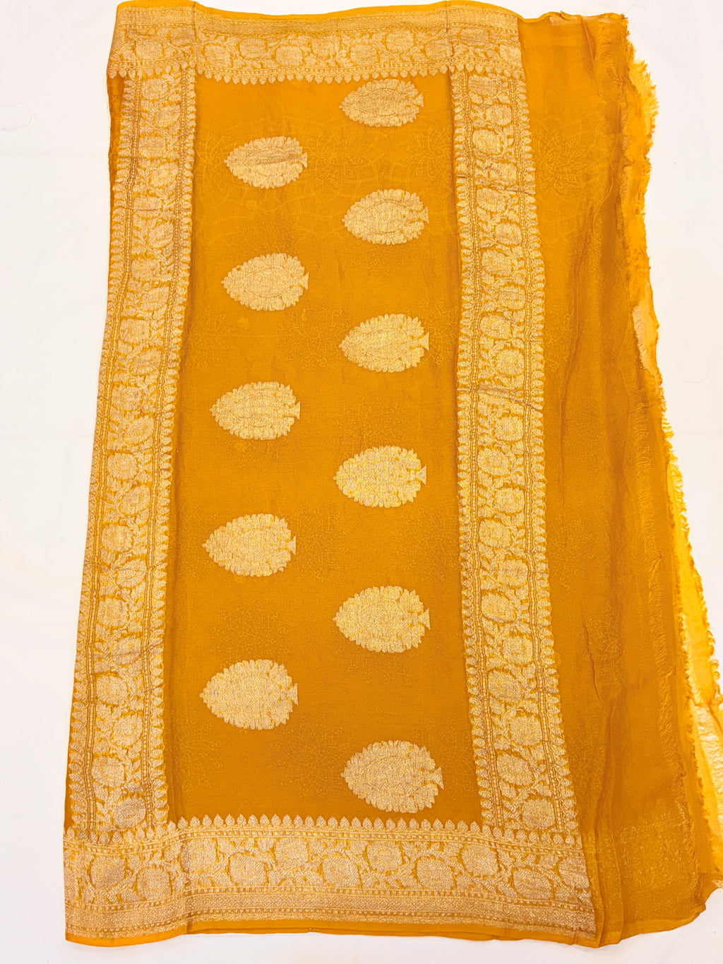 Mustard Yellow Pure Khaddi Chiffon Banarasi Saree with Chikankari work
